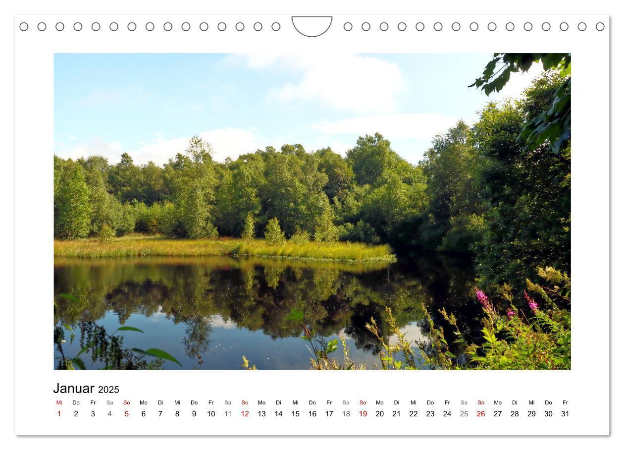 Bild: 9783435026791 | Rotes und Schwarzes Moor (Wandkalender 2025 DIN A4 quer), CALVENDO...