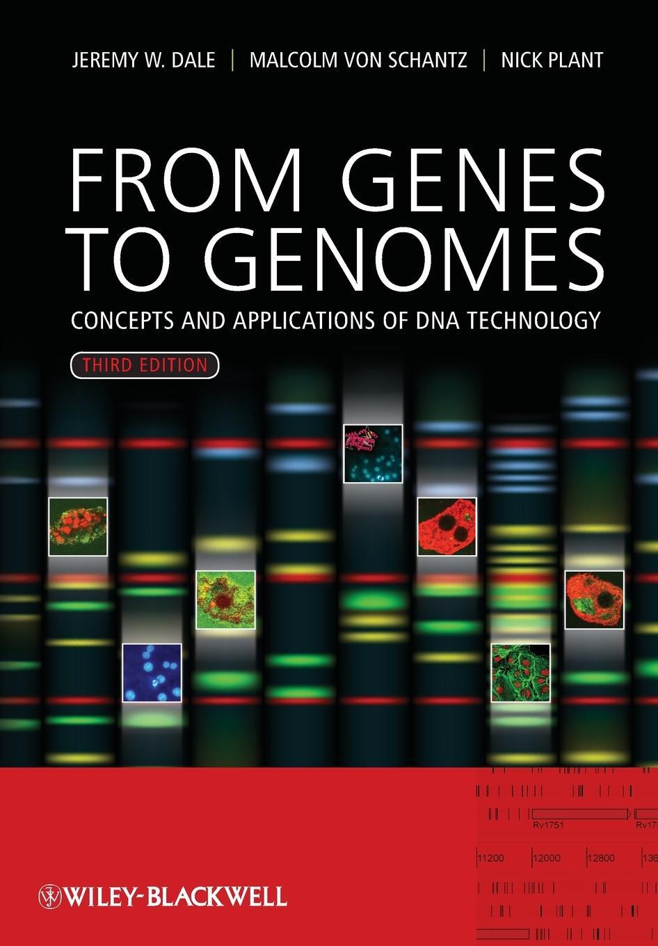 Cover: 9780470683859 | From Genes to Genomes | Concepts and Applications of DNA Technology
