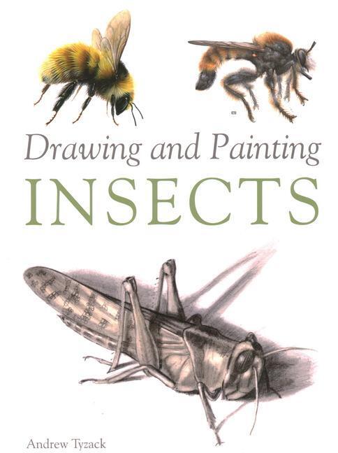 Cover: 9781847974891 | Drawing and Painting Insects | Andrew Tyzack | Taschenbuch | Englisch