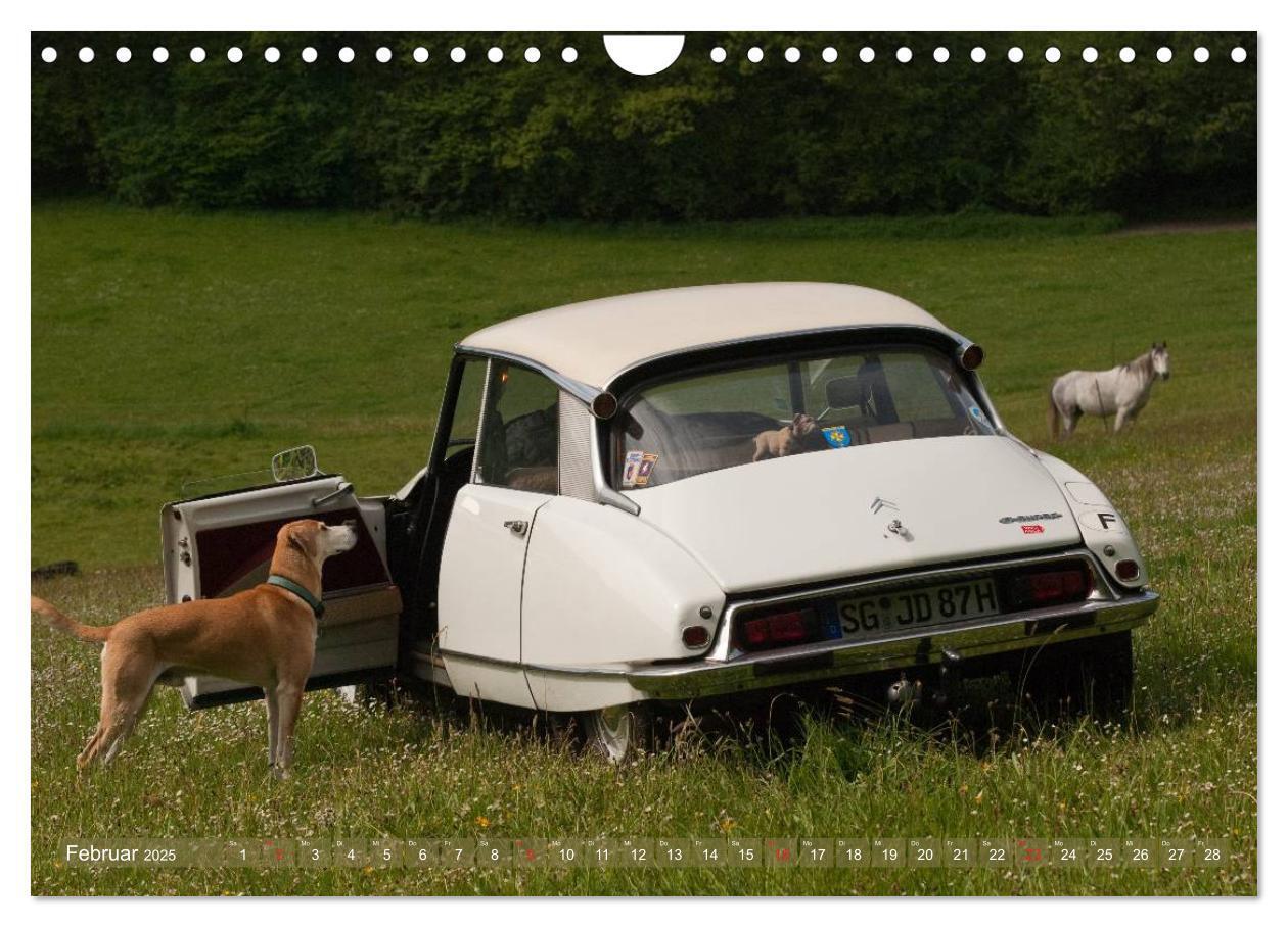 Bild: 9783435570102 | Citroën DS - Göttin in weiß (Wandkalender 2025 DIN A4 quer),...