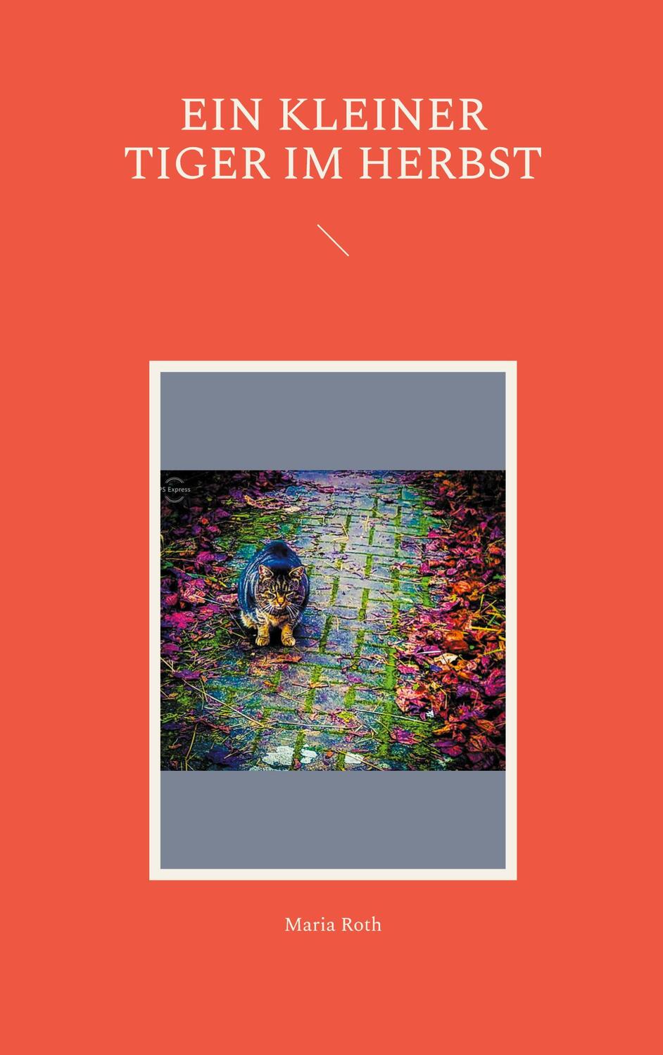 Cover: 9783754351253 | Ein kleiner Tiger im Herbst | Maria Roth | Taschenbuch