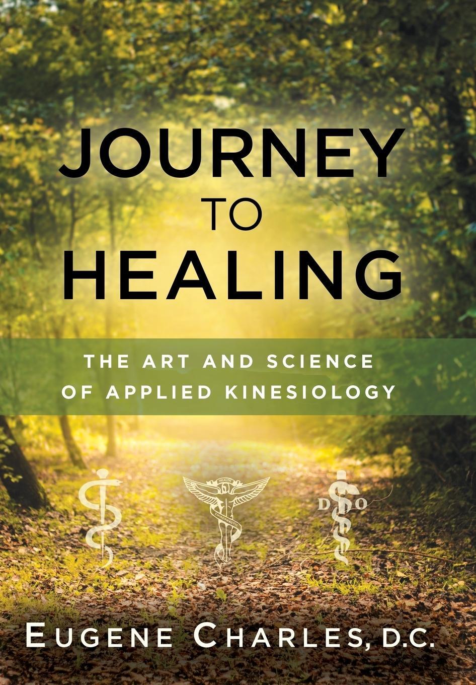 Cover: 9780964421769 | Journey to Healing | The Art and Science of Applied Kinesiology | Buch