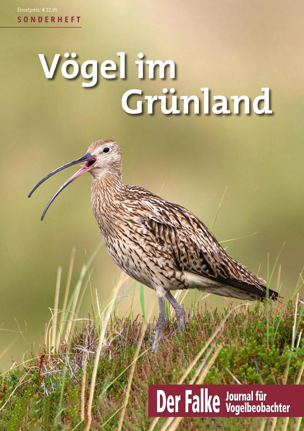 Cover: 9783891048429 | Vögel im Grünland | Redaktion Der Falke | Taschenbuch | Deutsch | 2021