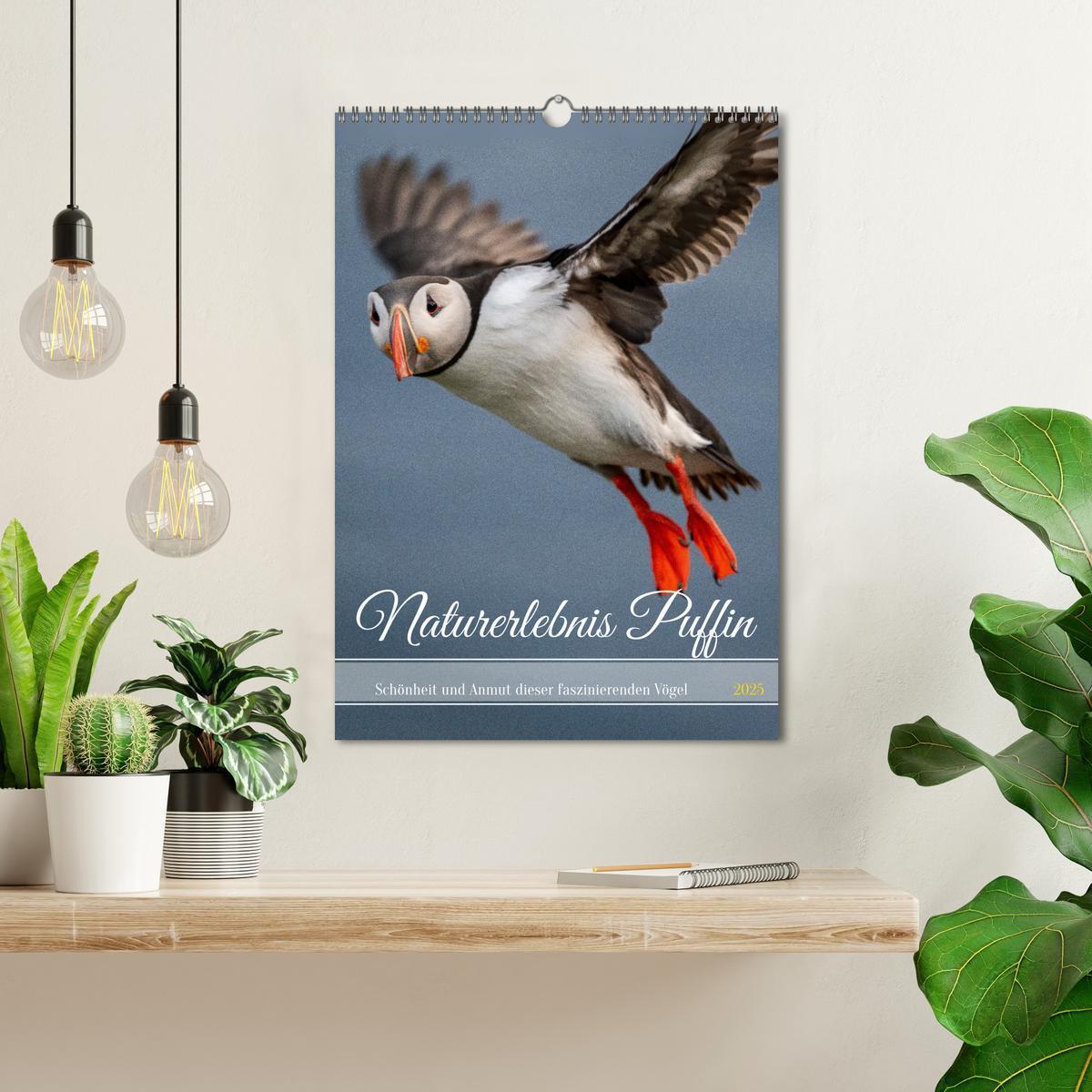 Bild: 9783435848843 | Naturerlebnis Puffin (Wandkalender 2025 DIN A3 hoch), CALVENDO...