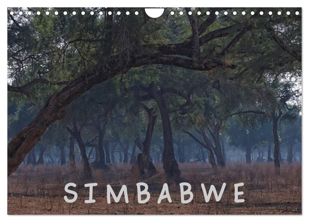 Cover: 9783435769155 | Zimbabwe (Wandkalender 2025 DIN A4 quer), CALVENDO Monatskalender