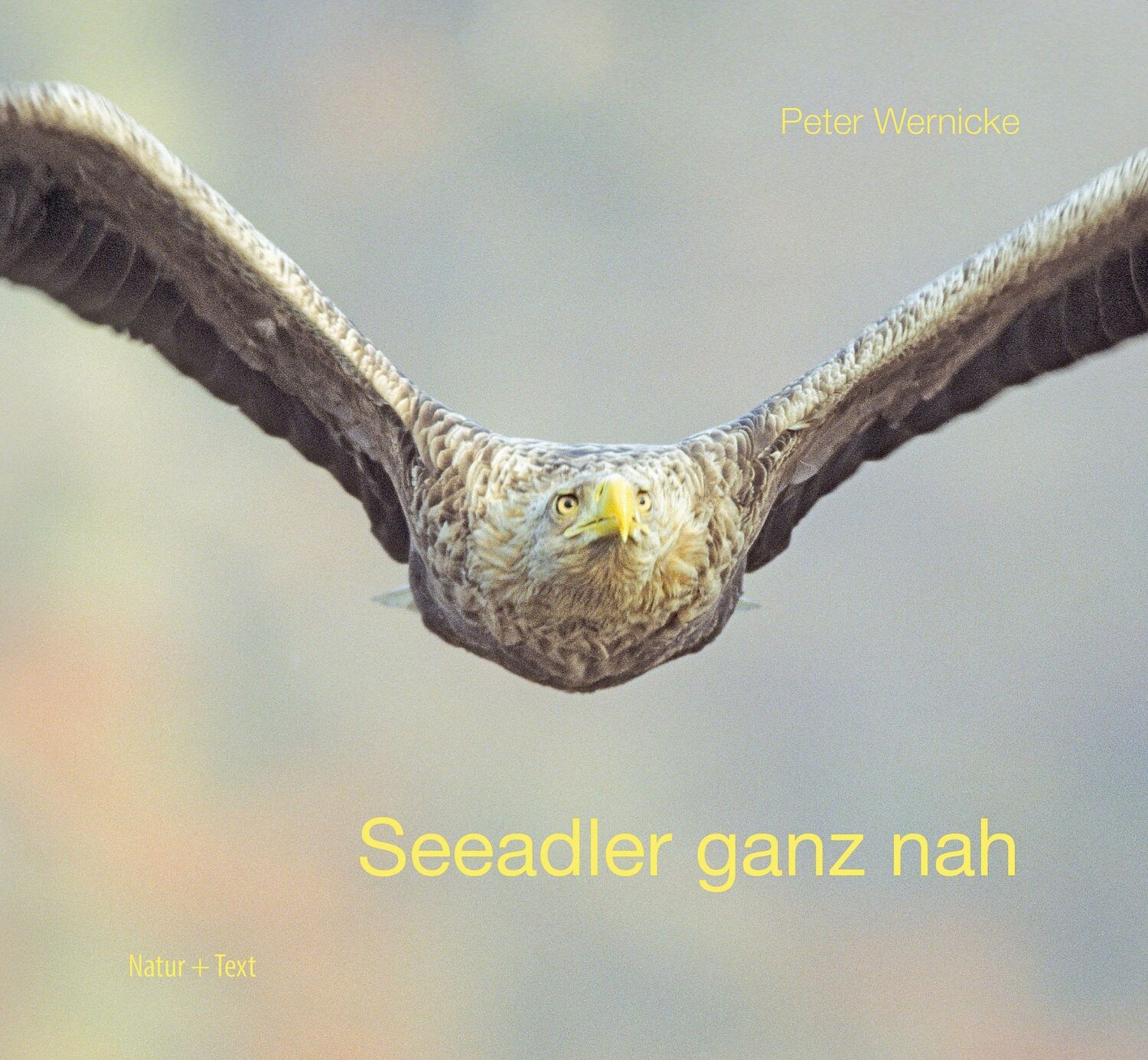 Cover: 9783942062657 | Seeadler ganz nah | Peter Wernicke | Buch | 128 S. | Deutsch | 2024