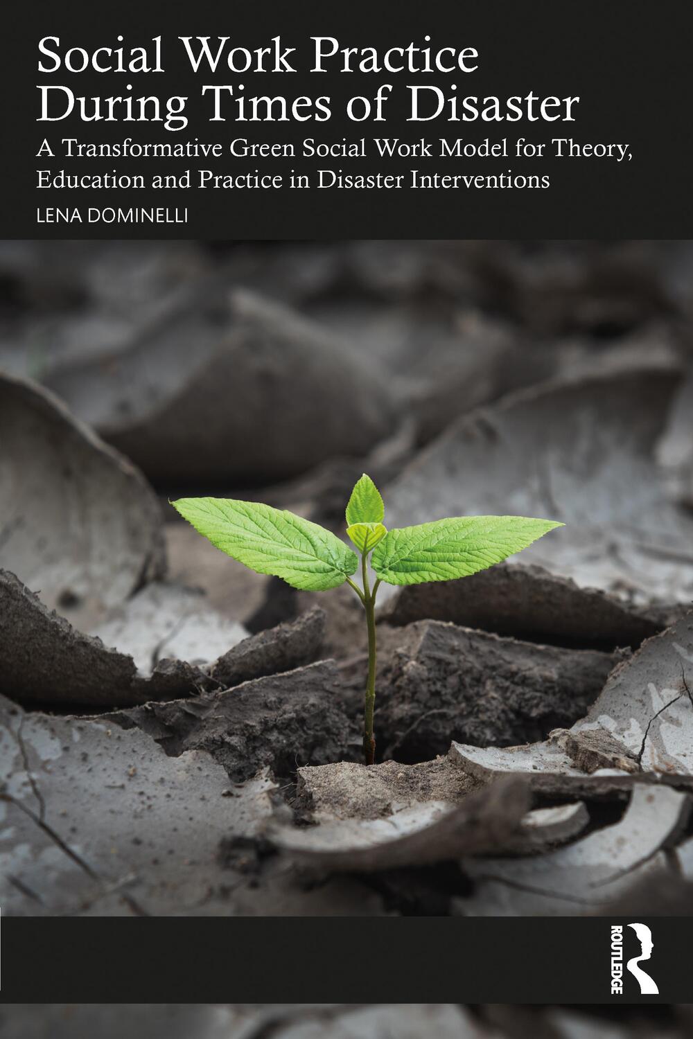Cover: 9780367616441 | Social Work Practice During Times of Disaster | Lena Dominelli | Buch