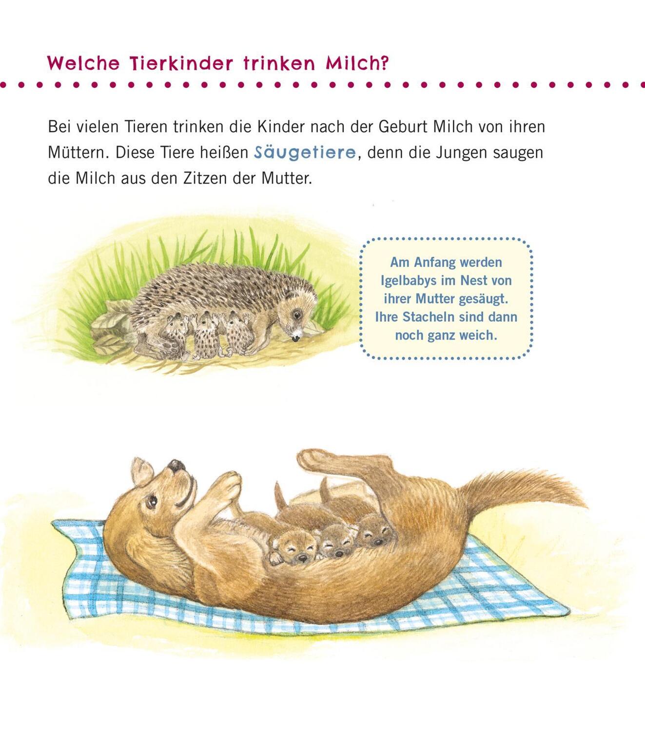 Bild: 9783551036056 | Unkaputtbar: Erstes Wissen: Tiere und ihre Kinder | Petra Klose | Buch