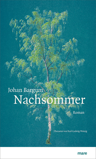 Cover: 9783866482609 | Nachsommer | Roman | Johan Bargum | Buch | Mit Lesebändchen | 142 S.