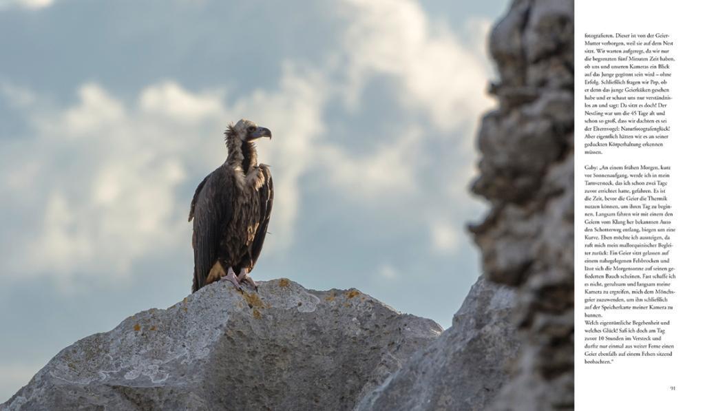 Bild: 9783981088250 | NATURERLEBNIS MALLORCA | Die wilde Seite der Insel | Daubner (u. a.)