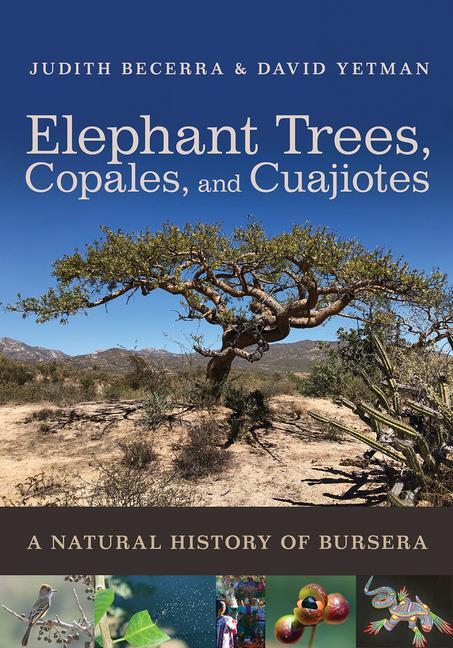 Cover: 9780816551941 | Elephant Trees, Copales, and Cuajiotes | A Natural History of Bursera
