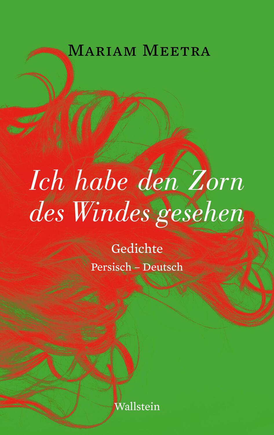 Cover: 9783835354777 | Ich habe den Zorn des Windes gesehen | Gedichte. Persisch - Deutsch