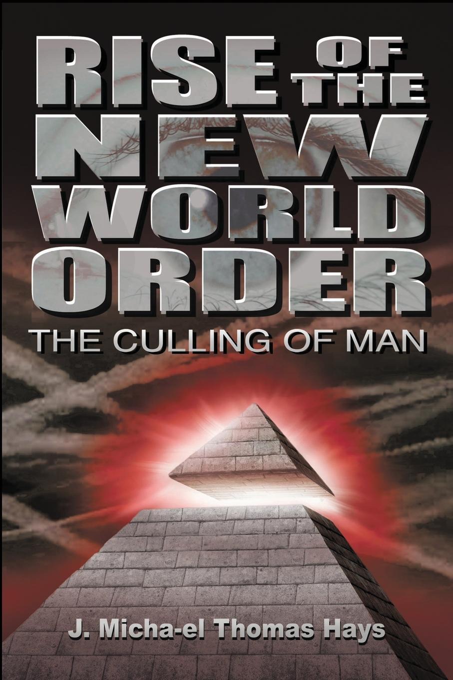 Cover: 9780988982048 | Rise of the New World Order | The Culling of Man | Hays | Taschenbuch