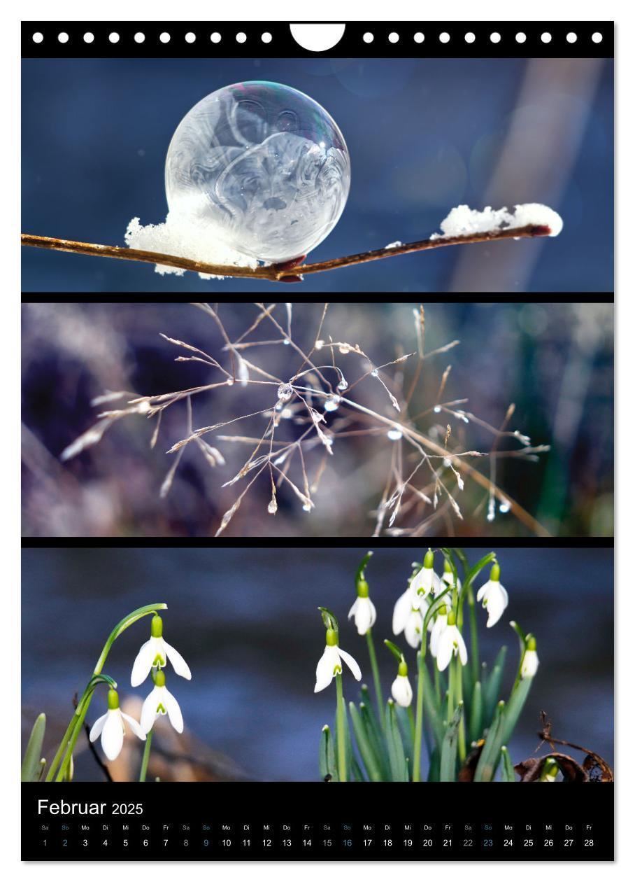 Bild: 9783435915705 | Bezaubernde Farben der Natur (Wandkalender 2025 DIN A4 hoch),...