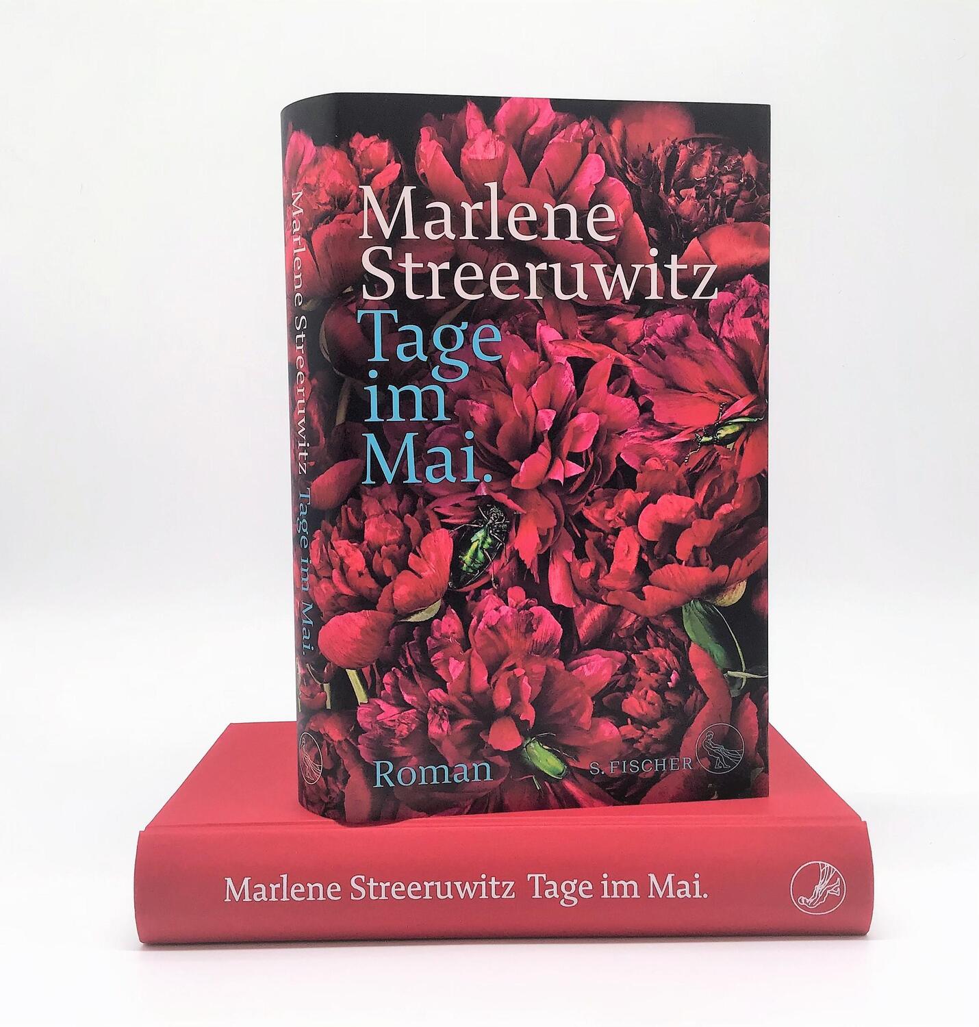 Bild: 9783103973501 | Tage im Mai. | Roman dialogué. | Marlene Streeruwitz | Buch | 381 S.