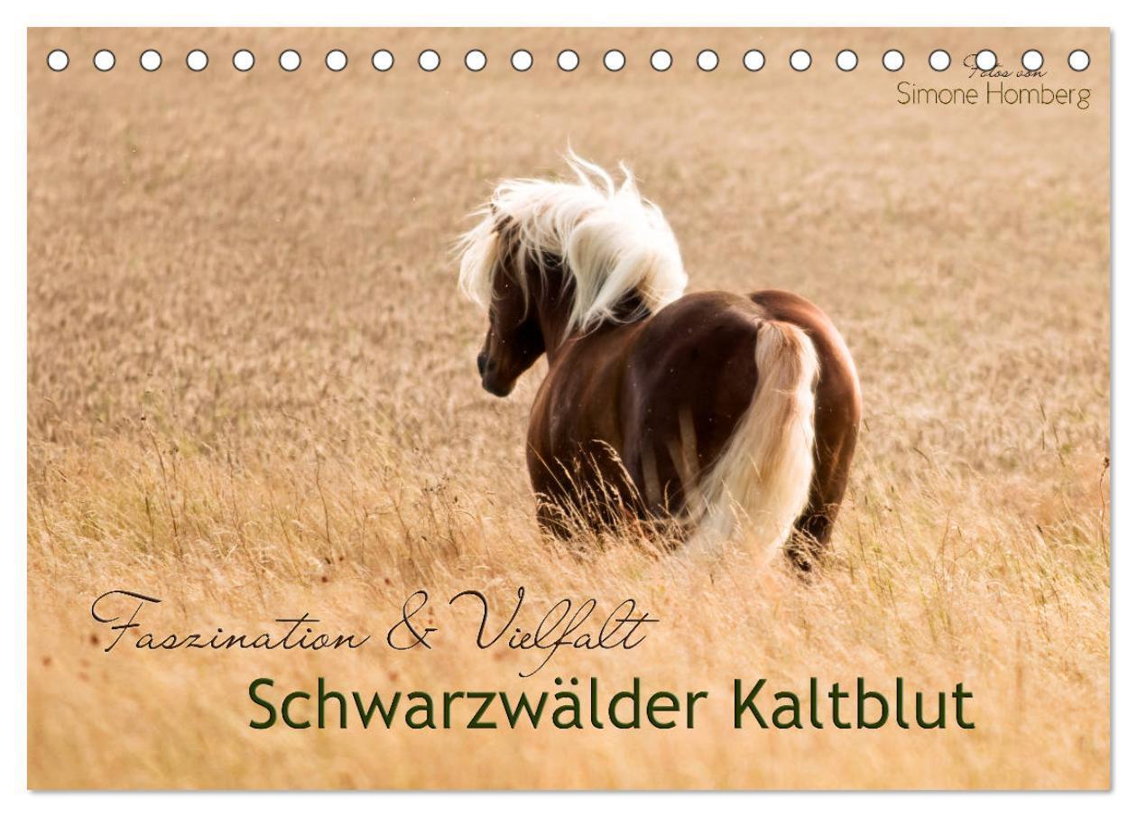 Cover: 9783435334292 | Faszination und Vielfalt - Schwarzwälder Kaltblut (Tischkalender...