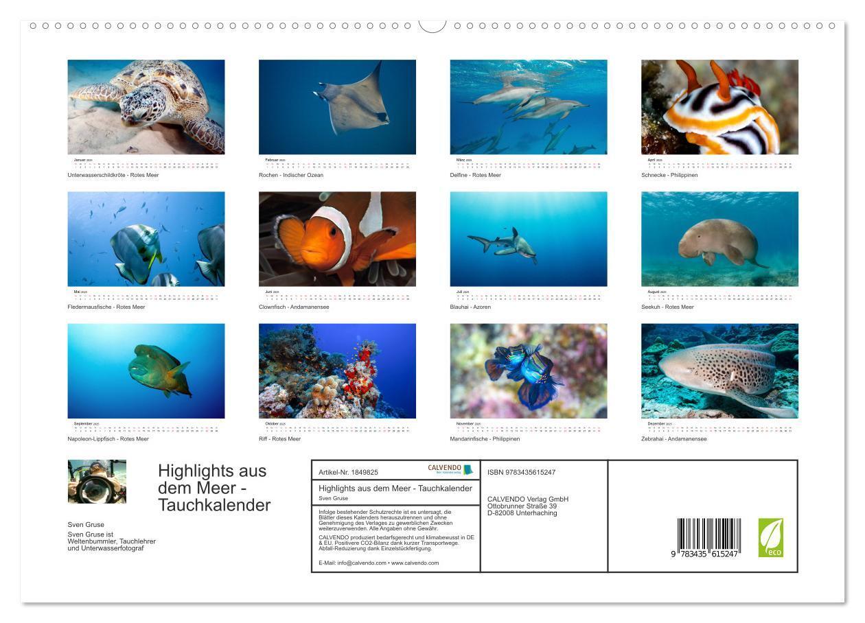 Bild: 9783435615247 | Highlights aus dem Meer - Tauchkalender (Wandkalender 2025 DIN A2...