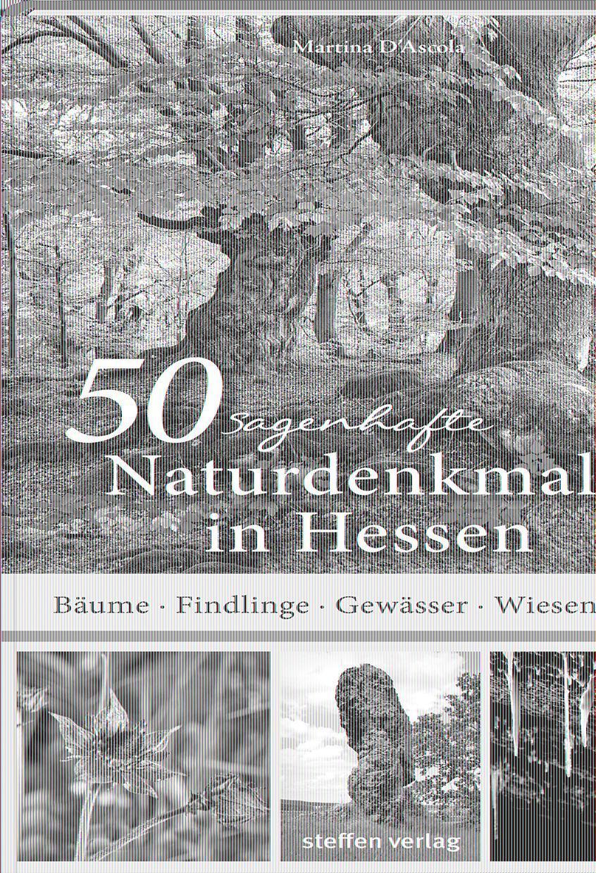 Cover: 9783957990587 | 50 sagenhafte Naturdenkmale in Hessen | Martina D'Ascola | Taschenbuch