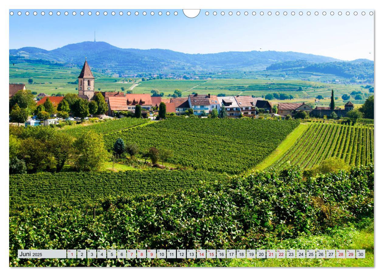 Bild: 9783435350377 | Weinregion Kaiserstuhl (Wandkalender 2025 DIN A3 quer), CALVENDO...