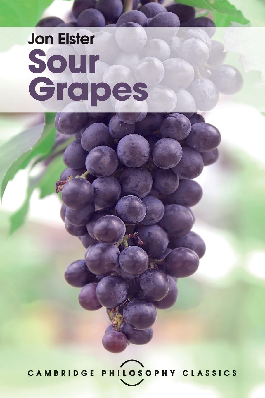 Cover: 9781316507001 | Sour Grapes | Jon Elster | Taschenbuch | Paperback | Englisch | 2016