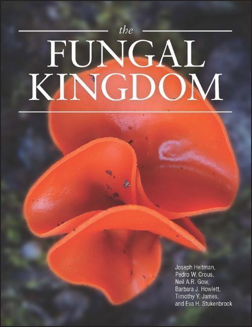 Cover: 9781555819576 | The Fungal Kingdom | Joseph Heitman (u. a.) | Buch | 1160 S. | 2017