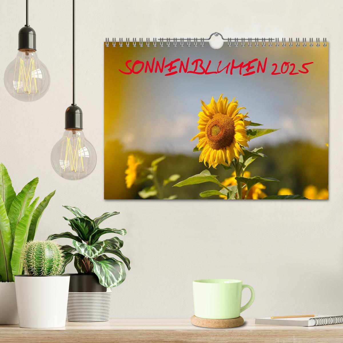 Bild: 9783435788514 | Sonnenblumen 2025 (Wandkalender 2025 DIN A4 quer), CALVENDO...