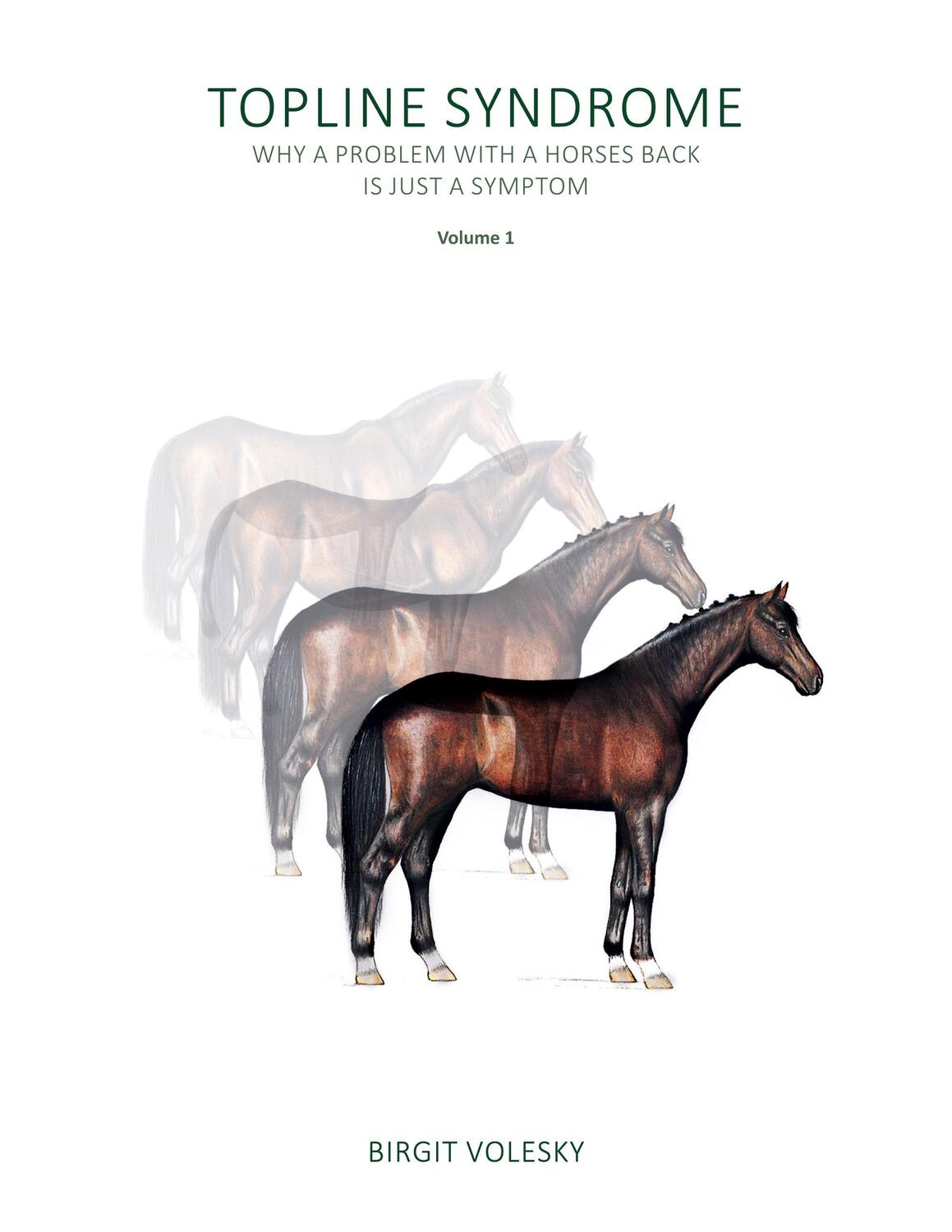 Cover: 9783752622065 | Topline Syndrome | Why a problem with a horses back is just a symptom