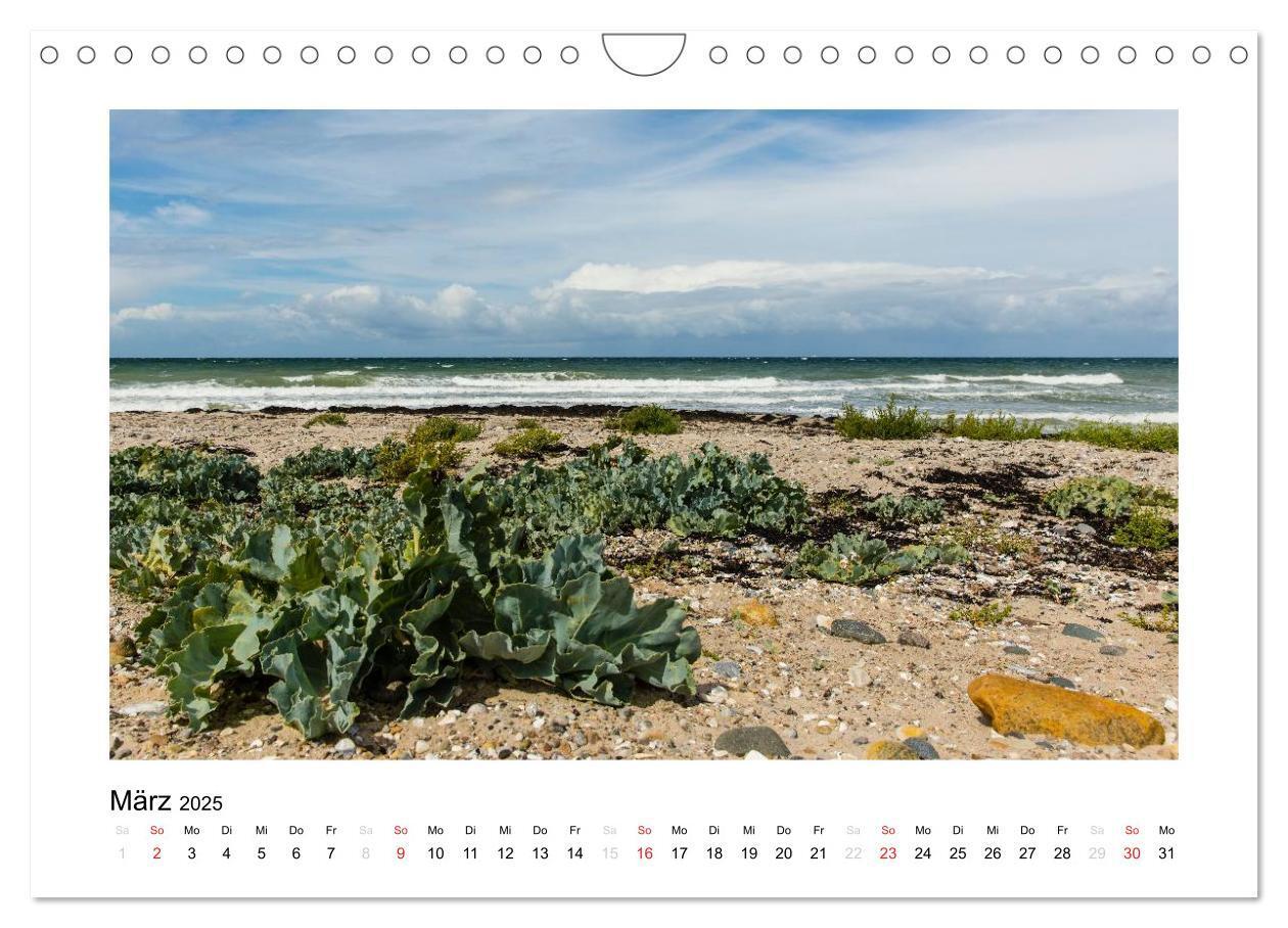 Bild: 9783435671311 | FEHMARN - Magische Momente (Wandkalender 2025 DIN A4 quer),...