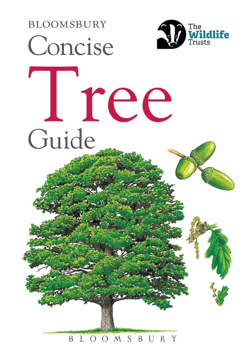 Cover: 9781472963796 | Concise Tree Guide | Bloomsbury | Taschenbuch | Concise Guides | 2018