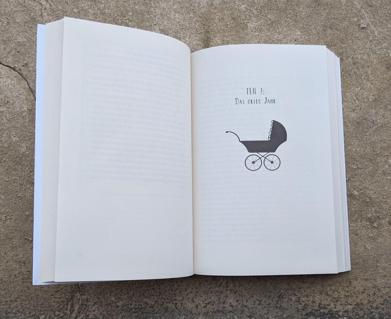 Bild: 9783492316644 | Das einzig wahre Baby-Handbuch | Emily Oster | Taschenbuch | Deutsch