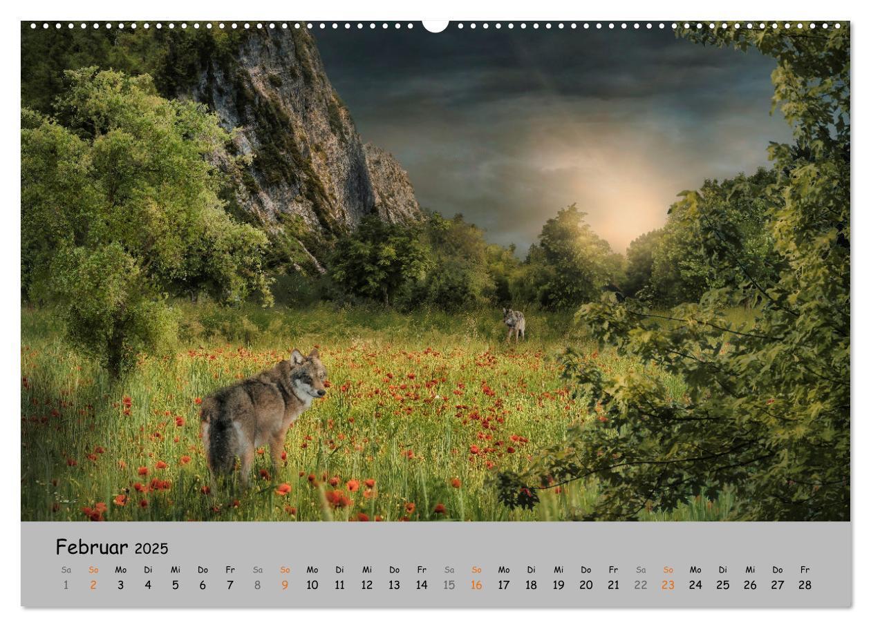 Bild: 9783435079544 | Der lange Weg der Wölfe (Wandkalender 2025 DIN A2 quer), CALVENDO...