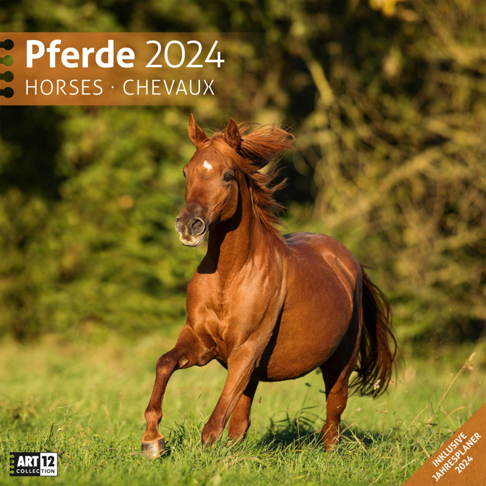 Cover: 9783838444215 | Pferde Kalender 2024 - 30x30 | Ackermann Kunstverlag | Kalender | 2024