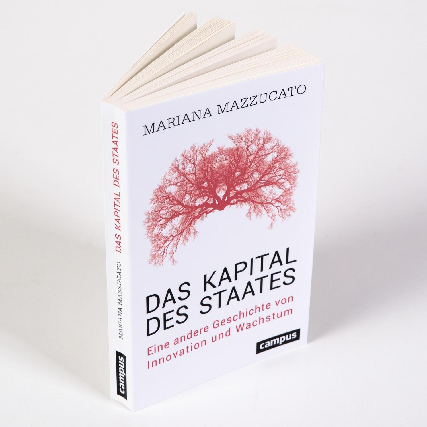 Bild: 9783593516875 | Das Kapital des Staates | Mariana Mazzucato | Taschenbuch | Deutsch
