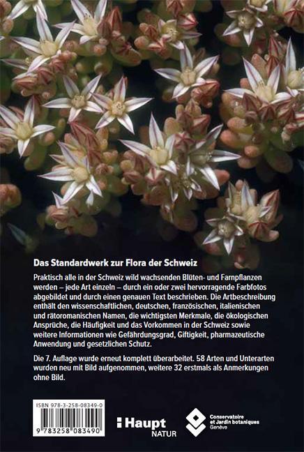 Rückseite: 9783258083490 | Flora Helvetica - Illustrierte Flora der Schweiz | Lauber (u. a.)