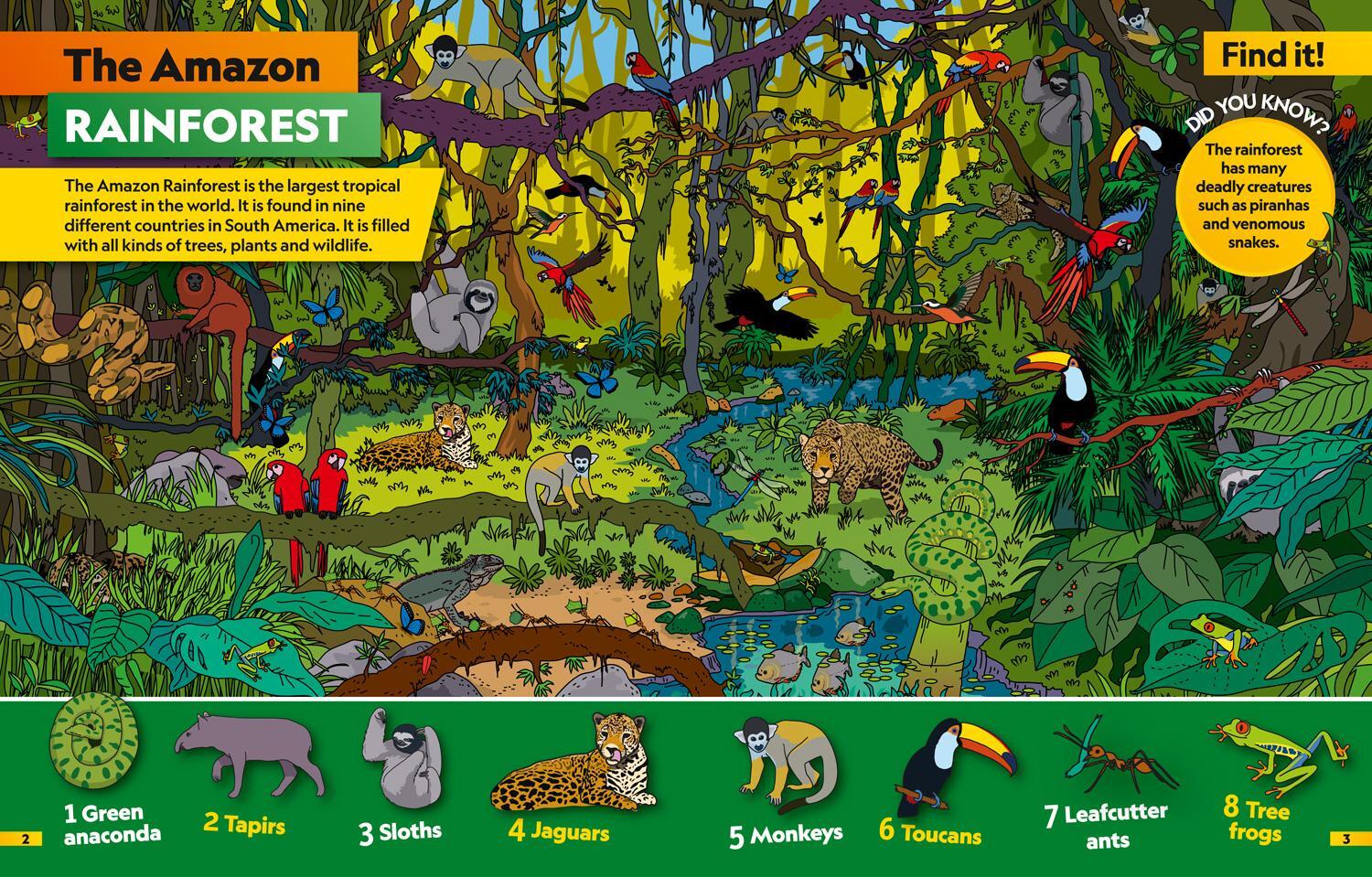Bild: 9780008421915 | Animals Find it! Explore it! | National Geographic Kids | Taschenbuch
