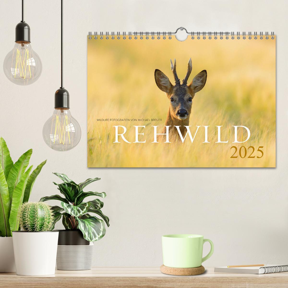 Bild: 9783435111107 | Rehwild 2025 (Wandkalender 2025 DIN A4 quer), CALVENDO Monatskalender