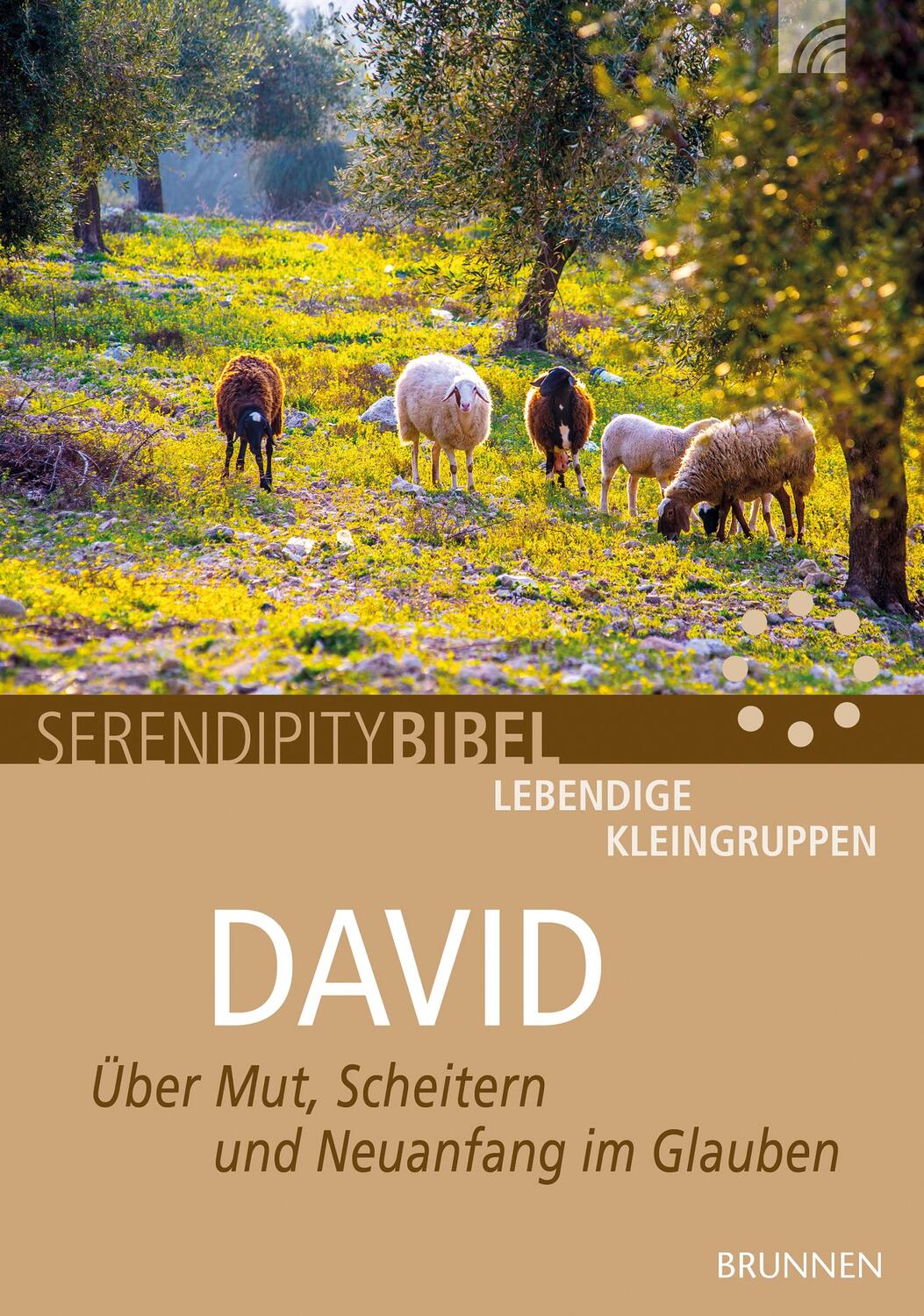 Cover: 9783765507960 | David | Über Mut, Scheitern und Neuanfang im Glauben | Clausen | 2010