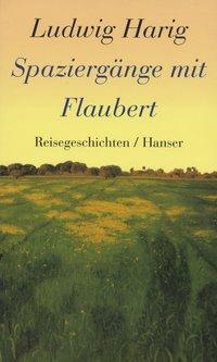 Cover: 9783446191150 | Spaziergänge mit Flaubert | Reisegeschichten | Ludwig Harig | Buch