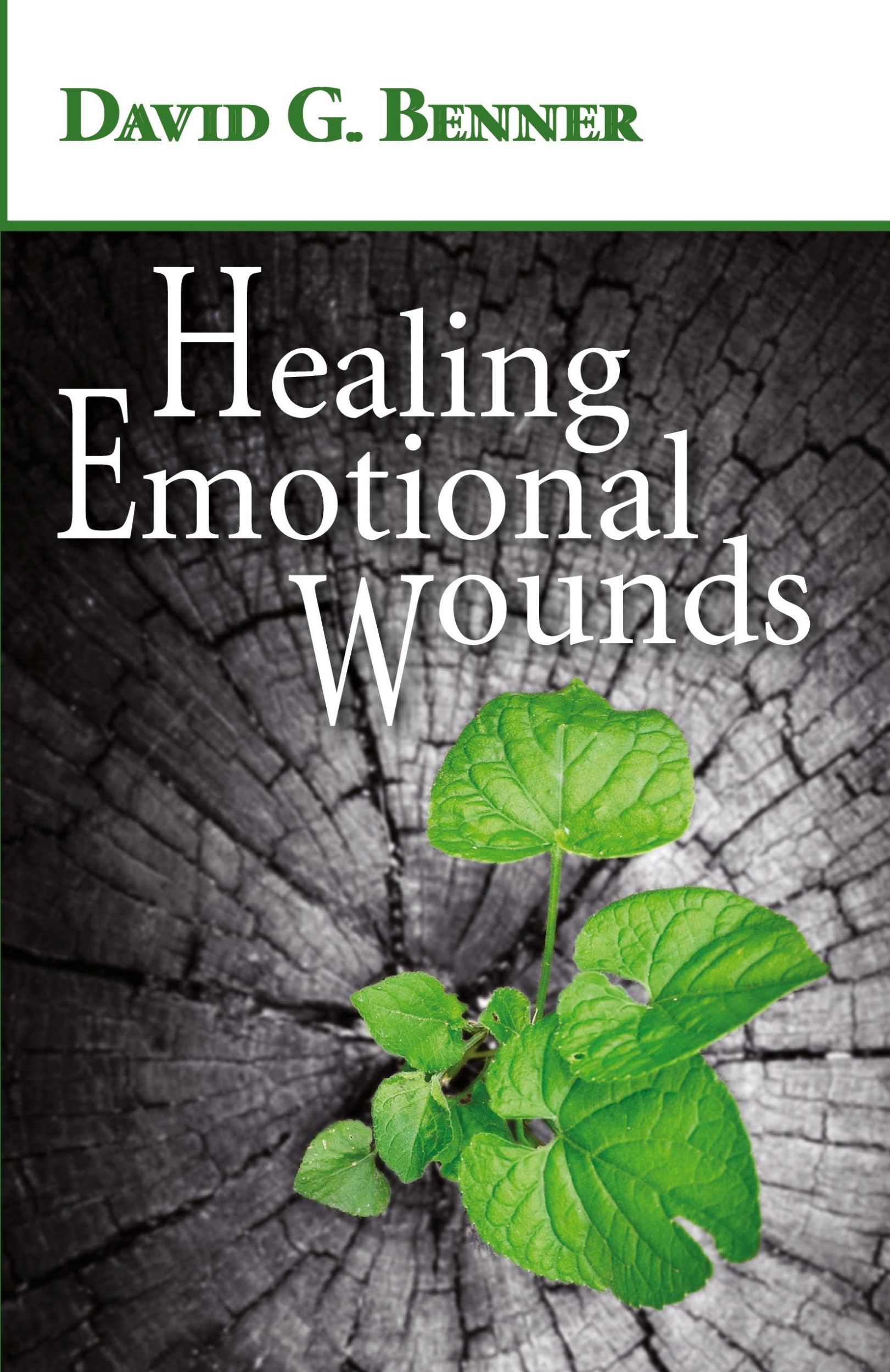 Cover: 9781532602566 | Healing Emotional Wounds | David G. Benner | Taschenbuch | Englisch