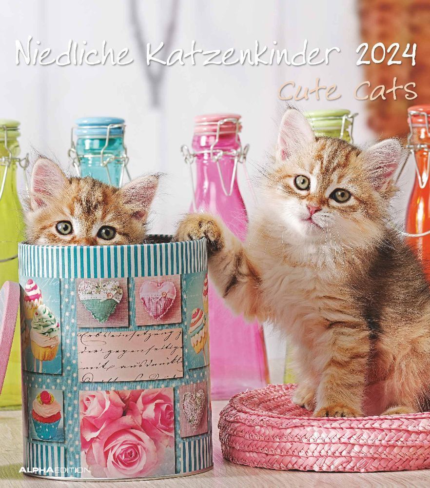 Cover: 4251732335168 | Niedliche Katzenkinder 2024 - Wand-Kalender - Tier-Kalender - 30x34