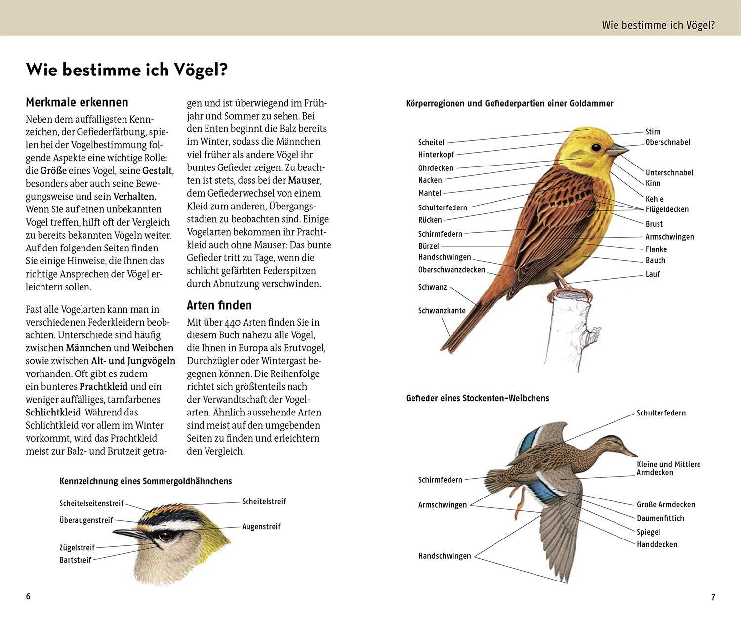 Bild: 9783440180020 | Welcher Vogel ist das? | Volker Dierschke | Taschenbuch | 272 S.