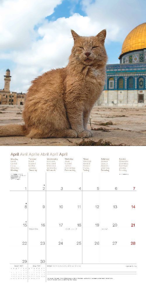 Bild: 4002725986870 | Cats Around the World 2024 - Wand-Kalender - Broschüren-Kalender -...