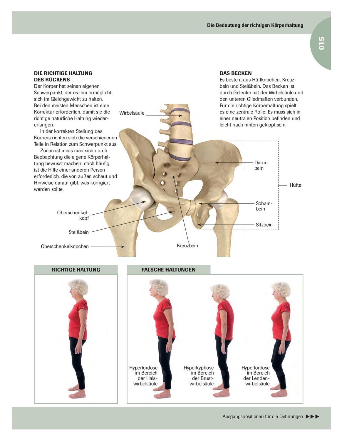 Bild: 9783966641968 | Stretching für Senioren | Über 90 Dehnübungen für mehr Beweglichkeit