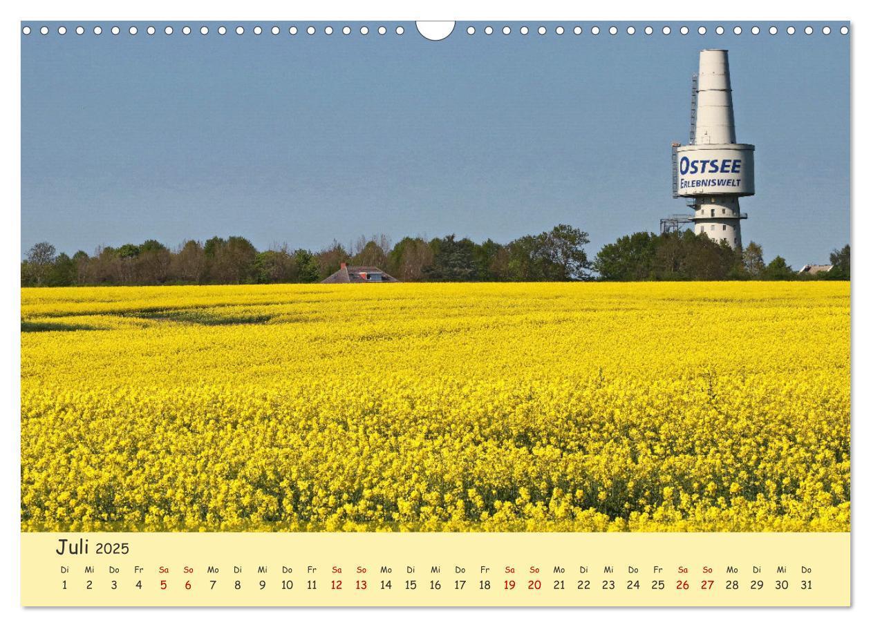 Bild: 9783435095162 | Rapsblüte an der Ostsee (Wandkalender 2025 DIN A3 quer), CALVENDO...