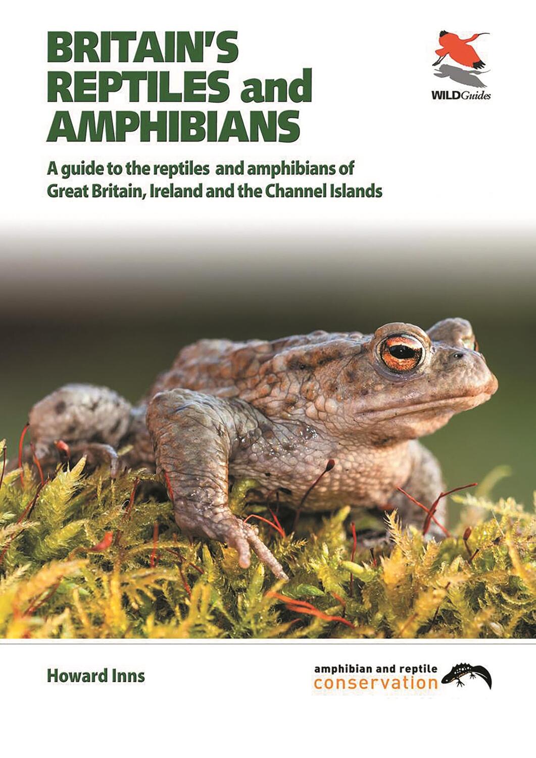 Cover: 9781903657256 | Britain`s Reptiles and Amphibians | Chris Packham (u. a.) | Buch