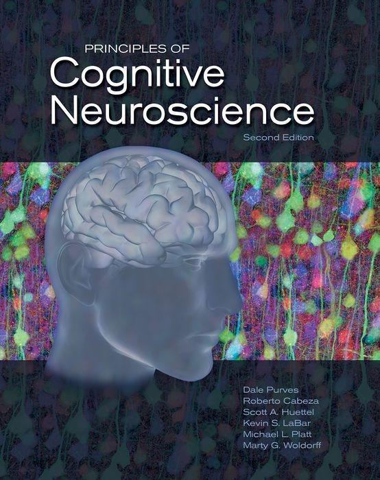 Cover: 9780878935734 | Principles of Cognitive Neuroscience | Dale Purves (u. a.) | Buch