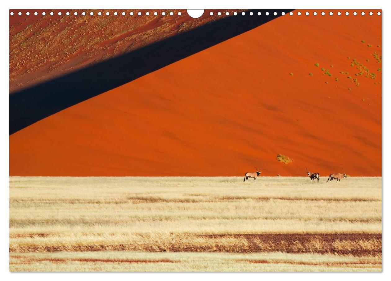 Bild: 9783435617425 | Namib Naukluft Nationalpark. NAMIBIA 2025 (Wandkalender 2025 DIN A3...