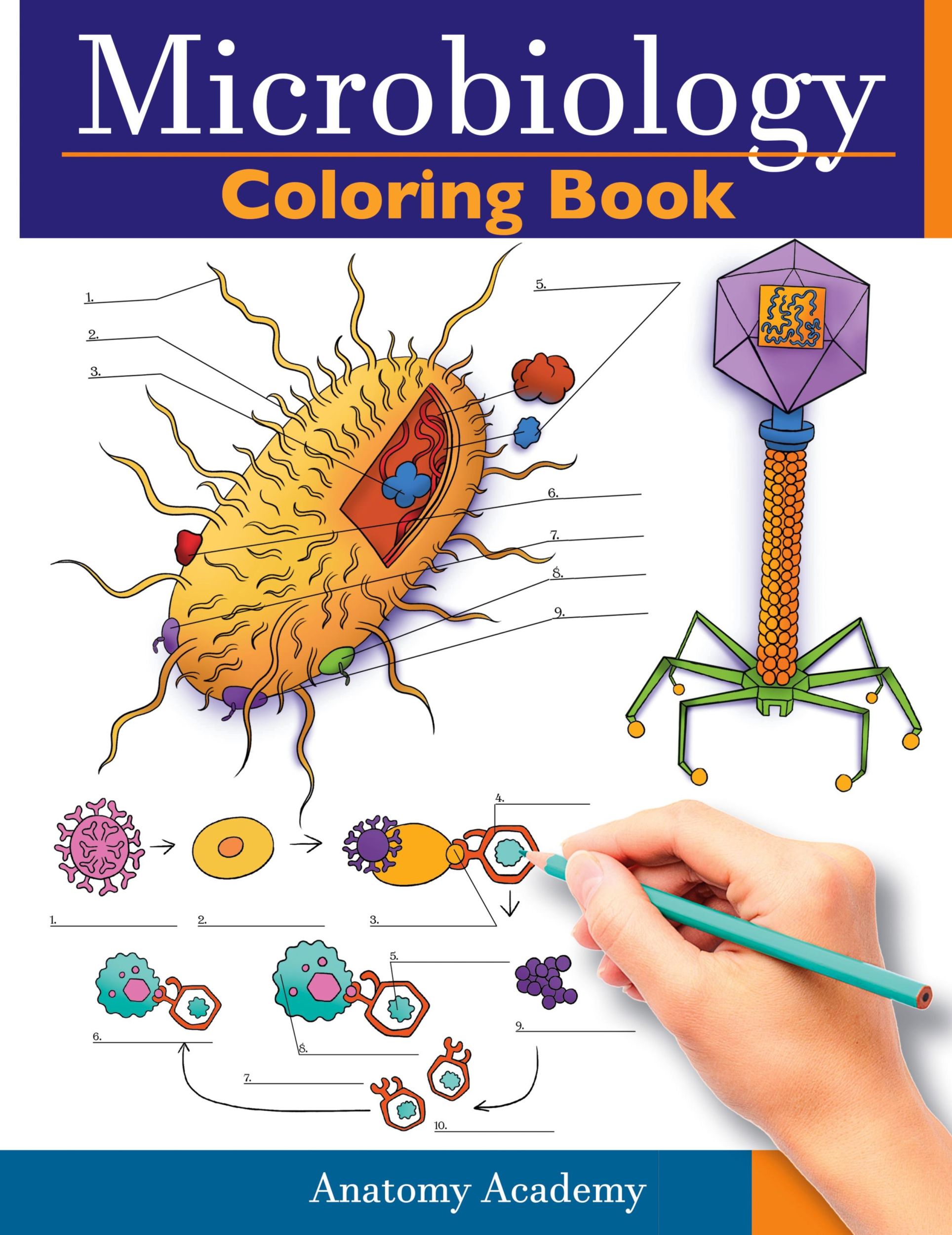 Cover: 9781914207549 | Microbiology Coloring Book | Anatomy Academy | Taschenbuch | Englisch