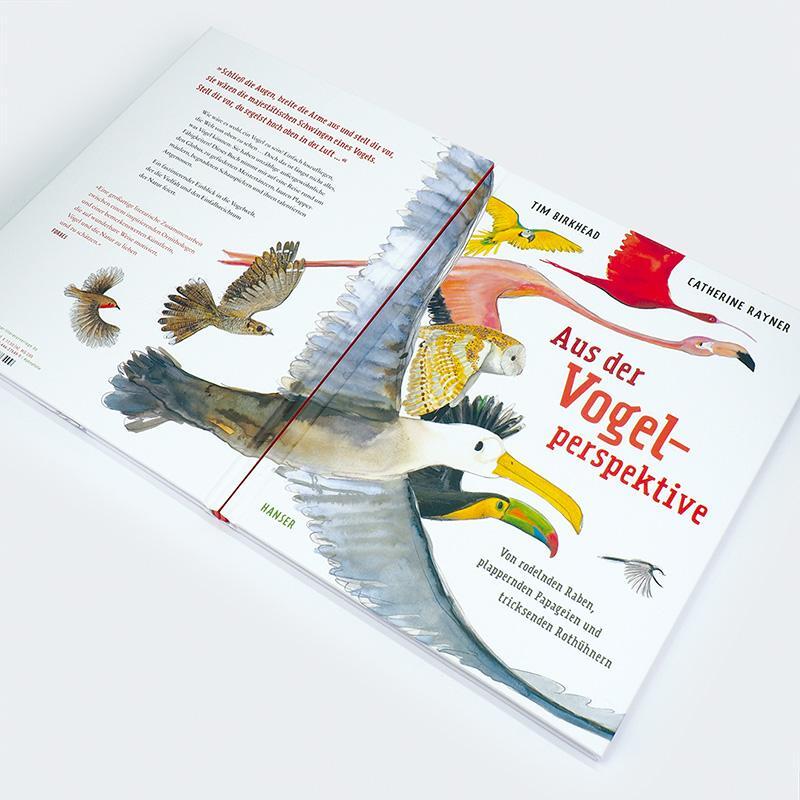 Bild: 9783446276499 | Aus der Vogelperspektive | Tim Birkhead (u. a.) | Buch | 48 S. | 2023