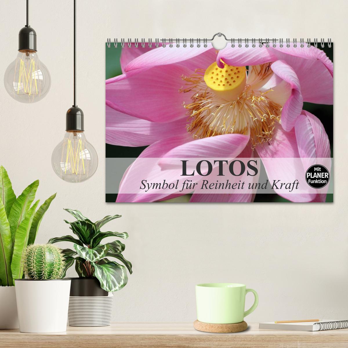 Bild: 9783435523115 | Lotos. Symbol für Reinheit und Kraft (Wandkalender 2025 DIN A4...